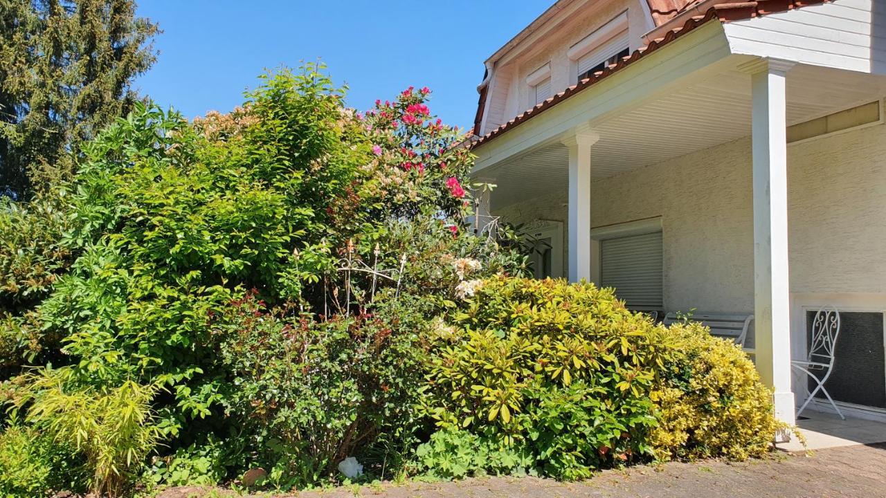 Ferienhaus "Villa Am Eck" Eichenzell Exterior photo
